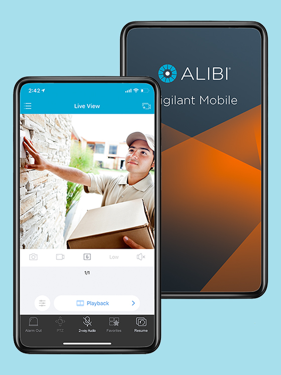 alibi-full-width